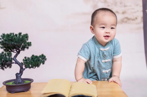 射阳可爱的企鹅宝宝